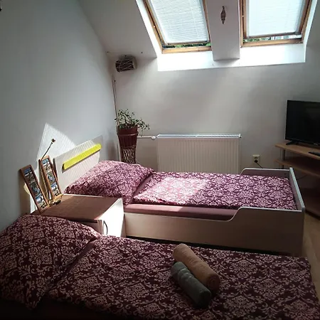 Habitación en casa particular House Garden Opava